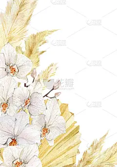 水彩热带花卉框架。金黄色的干叶，潘帕斯草原和兰花时尚波西米亚风格。波希米亚框架的婚礼贺卡，贺卡，海报