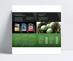 业务宣传单PSD设计素材|报设计,企业文化,宣传单,风景,PSD分层素材,PSD素材