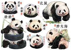 二次元不二采集到插画