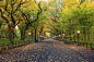 在中央公园，纽约，美国在秋季购物中心区的形象
