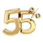 number_3d_55_g