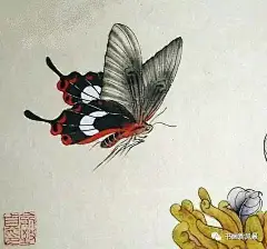 工笔大师俞致贞画草虫 - 书画相关 - 中国艺硕.com_艺术人才的专栏名片