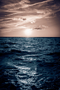 (4) Tumblr