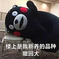 各种表情包～支持点赞-兴趣部落