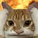 抽象猫猫表情包合集 - 小红书