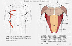 迦伽采集到绘画技法