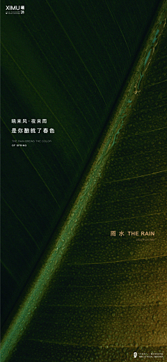 第二十九颗星球采集到节气海报