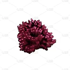 珊瑚礁。不同颜色的息肉。手绘水彩插图上的白色背景