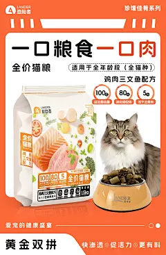 珍馐佳肴海报，猫-产品+内容