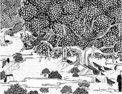 生生不息644采集到叶子