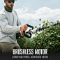 Commercial 21” Short Pole Hedge Trimmer Tool Only | EGO (HTX5300-P)