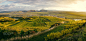 Sunset over vineyards by Catalin Rusnac on 500px