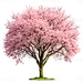 vibrante Cereza florecer árbol en lleno floración, exhibiendo delicado rosado flores Perfecto para primavera y con temas de la naturaleza proyectos