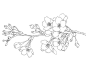K018ENUCBNQK2手绘插画线稿
