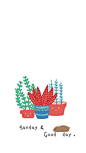 植物