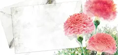 母亲节康乃馨花纹banner背景 浪漫 海报banner 爱心 简单背景 背景 设计图片 免费下载 页面网页 平面电商 创意素材