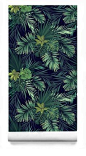 黑暗热带叶植物壁纸绿色棕榈模式树