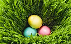 色彩斑斓的唯美彩绘复活节彩蛋创意高清桌面壁纸(三)