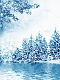 冰雪覆盖的树木。