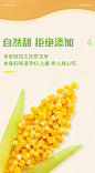 黑龙江淘源好货 东北玉米粒80g*10袋-tmall.com天猫