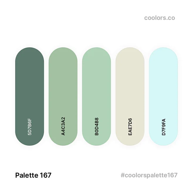 Photo by Coolors® Color Palettes on November 08, 2020. May be an image ...
