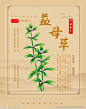 益母草海报