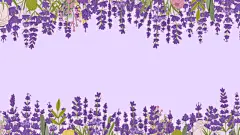 图源免费EPS |带有紫色丁香花图案的薰衣草花框背景，矢量边框。普罗旺斯薰衣草花框置于丁香花背景上，适用于婚礼贺卡或化妆品用花园香草花束