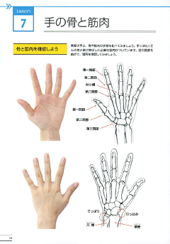 泛红的枫叶采集到角色 手绘