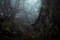 atmosphere burnell dark fine-art forest mist mystical wistmans wood woodland