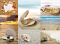 多张沙滩上的贝壳与珍珠摄影背景桌面壁纸图片素材