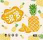 手提盒-菠萝