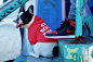 為愛犬換上街頭裝備－Pawkier 寵物街服期間限定店開催 : 「Anti Social Puppy Club」會員招募！
