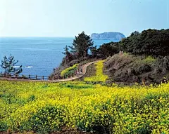 春节要去的最热旅游地
