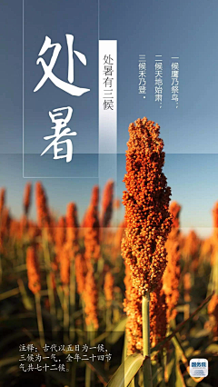 P小贱采集到节气