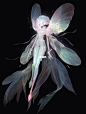 幻想生物