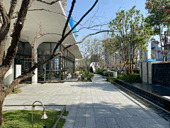 Massarotto采集到示范区