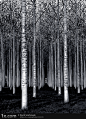 1x.com - The Forest For The Trees by David Scarbrough