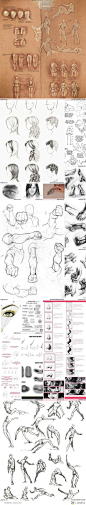 #SAI资源库# 百家人体结构画法,人体骨骼结构和肌肉走势分析参考,女性人体夸张肌肉参考教材,脚部对大家一定有帮助~自己收藏，转需~