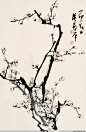 [转载]【国画】董寿平作品精选集——梅花（2）