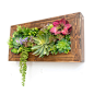 阿楹原创设计 仿真花多肉植物垂直花园插花艺术创意壁挂墙饰木盒