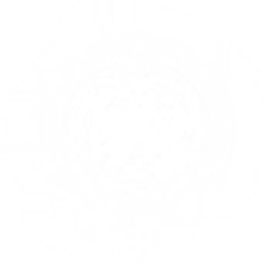 云镜采集到TX_地裂