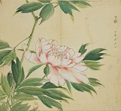 【精美图文：赏古画读诗经好不惬意！】 - 文章