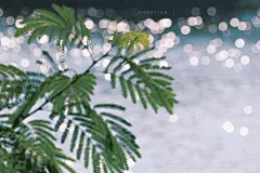 “愿你忠于自己，活的认真，笑的放肆。”   #ipad壁纸 电脑壁纸