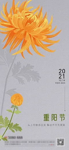 【素材能量站】海报 中国传统节日 重阳节 感恩 父母 菊花 手绘 插画 创意|296134 