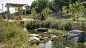 Ricardo Lara Park - : Ricardo Lara Park represents the transformation of 5.25 acres of vacant lots along an I-105 freeway embankment into a mile-long park that addresses the needs of the community. SWA collaborated with the nonprofit From Lot to Spot to c