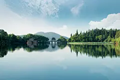 生态图-51