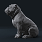 Churchill_dog - Heroic, Ran Manolov : Few screengrabs from Zbrush and #keyshot renders of the second pose of #churchilldog I was tasked to re-sculpt five of these. It turned out to be a much bigger task and ended up posing and sculpting them on my own. St