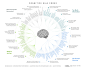1200px-The_Cognitive_Bias_Codex_-_180+_biases,_designed_by_John_Manoogian_III_(jm3).png (1200×959)