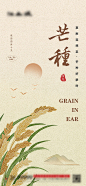 芒种节气海报-源文件