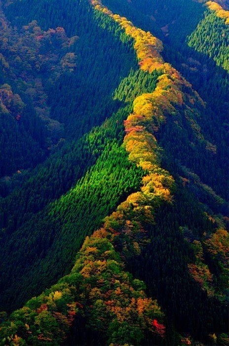 天川山山脊｜日本爱知县西北部，浓尾平原的...